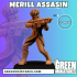 Merill Assasin- Cyberpunk image