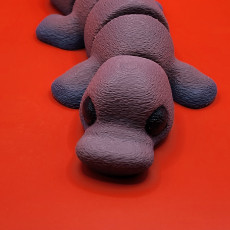 Picture of print of M3D - Flexi Baby Platypus