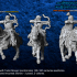 Turko-Mongol Light Horse Archers image