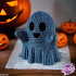 Crocheted Ghost & Keychain image