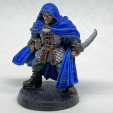 Picture of print of Male Human Rogue Assassin Miniature