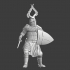 Medieval Teutonic Knight - sword and shield image