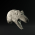 Deinonychus mount/head image