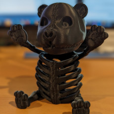 Picture of print of TEDDY BEAR SKELETON DECOR - NO SUPPORTS