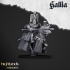 Royal Knights of Gallia - Highlands Miniatures image