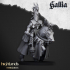 Royal Knights of Gallia - Highlands Miniatures image