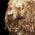 Lions Roaring image