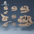 Dinosaur Skulls 1 image