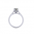 Tiffany Diamond Ring R4 image