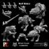 Modular Wolf Clan Goblin Kit image