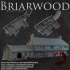 Dark Realms - Briarwood - The Leaping Frog Inn image
