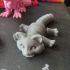 Articulated Racoon print image