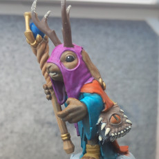 Picture of print of Bunny Warlock