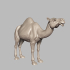 Palmyrene Camelry image