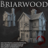 Dark Realms - Briarwood - House 1 image