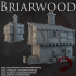 Dark Realms - Briarwood - House 2 image