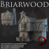 Dark Realms - Briarwood - House 4 image