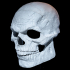 Inside Out Skull Mask image