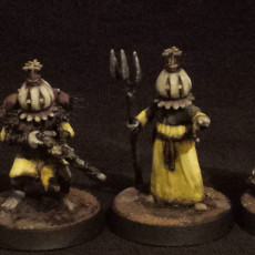 Picture of print of Turnip28 - Onion Cultist Heads
