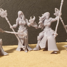 Picture of print of Silvermoor Elves Sorceresses of the Inner Circle