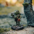 Fey Wild Encounters - Trollrock, Frog Gentleman and Running gold pouch - Three pre-supported 28mm Tabletop Miniatures + Character Cards image