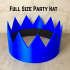 Full Size Party Hat image