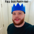 Full Size Party Hat image