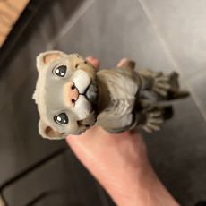 Picture of print of Ferret, Articulated fidget, Print-In-Place Body, Snap-Fit Head, Cute Flexi