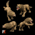 Wolves V2 image
