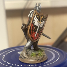 Picture of print of Divine Paladin of Conquest - Caedes