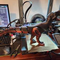 Picture of print of Big Dino-Pack Flexi