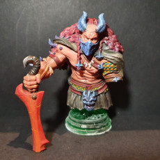 Picture of print of Xander, Chaos Upbringer (Half-Demon Fighter) - Bust