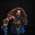 Xander, Chaos Upbringer (Half-Demon Fighter) - Bust print image