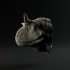 Carnotaurus closed mouth mount/head image