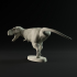 Tarbosaurus running 1-35 scale pre-supported dinosaur image