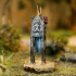 Fish King Tabletop Miniature - Fey Wild Noble image