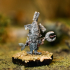 Hobgoblin Warband - Four 3D Printable Models + Character cards image