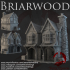 Dark Realms - Briarwood - Shop 1 image