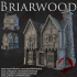Dark Realms - Briarwood - Shop 2 image