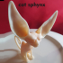 miniature sphynx cats image