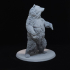 Grizzly Bear and Scenic Base Presupported image