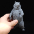 Grizzly Bear and Scenic Base Presupported image