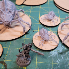 Picture of print of Sump Spiders