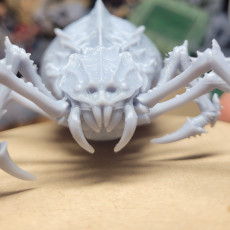 Picture of print of Sump Spiders