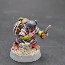 Picture of print of Halfling Thief [PRE-SUPPORTED]