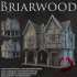 Dark Realms - Briarwood - Shop 3 image