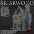 Dark Realms - Briarwood - Shop 4 image