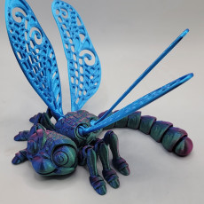 Picture of print of FLEXI FACTORY PRINT-IN-PLACE DRAGONFLY