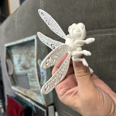 Picture of print of FLEXI FACTORY PRINT-IN-PLACE DRAGONFLY