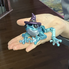 Picture of print of Witch Frog